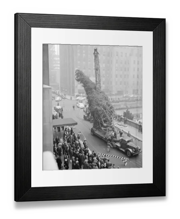 Framed Print : Derrick Lifting Rockefeller Center Tree Framed Print : Derrick Lifting Rockefeller Center Tree