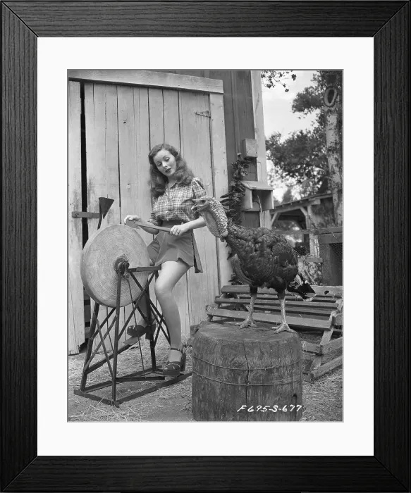 Framed Print : Jeanne Crain Sharpening Axe for Turkey Framed Print : Jeanne Crain Sharpening Axe for Turkey