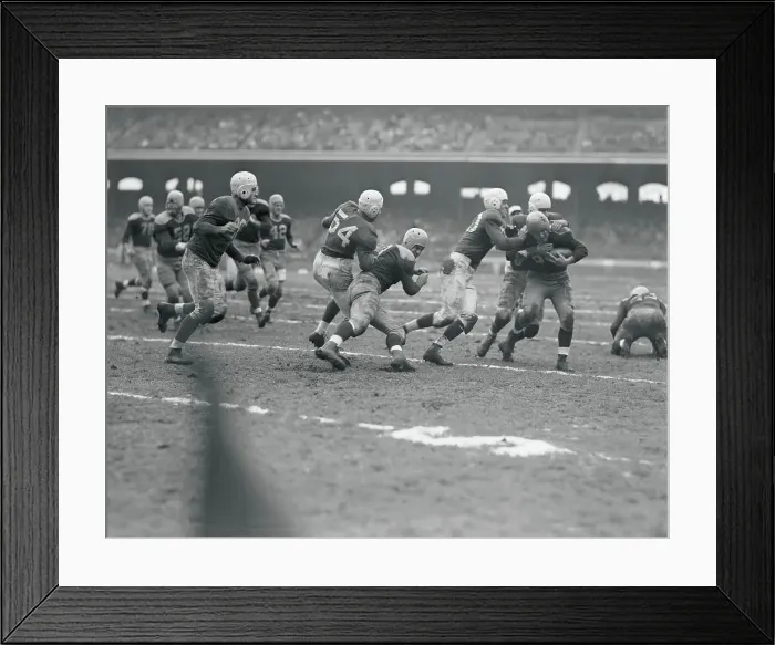Framed Print : Herman Rohrig Playing Hard During Football Game Framed Print : Herman Rohrig Playing Hard During Football Game