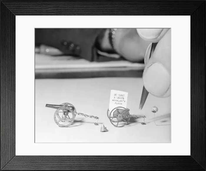 Framed Print : Fleas in Circus Demanding Union Framed Print : Fleas in Circus Demanding Union