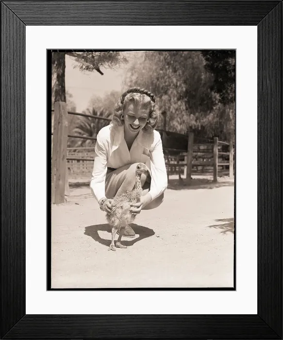 Framed Print : Woman Kneels and Pets Baby Ostrich Framed Print : Woman Kneels and Pets Baby Ostrich