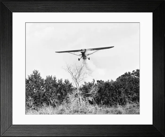 Framed Print : Airplane Dropping Cloud of Mosquito Insecticide Framed Print : Airplane Dropping Cloud of Mosquito Insecticide