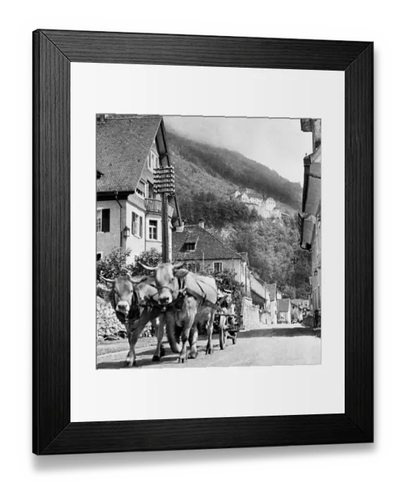 Framed Print : The Microstate of Liechtenstein Framed Print : The Microstate of Liechtenstein