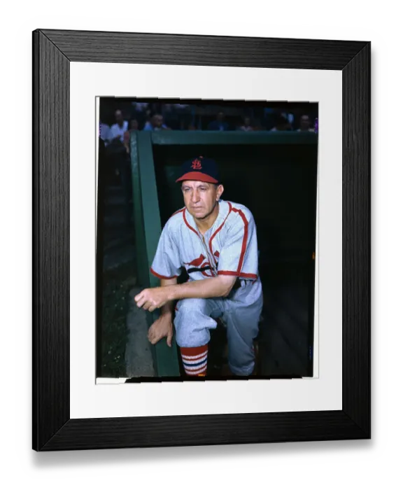 Framed Print : St. Louis Cardinals Manager Edward Dyer Framed Print : St. Louis Cardinals Manager Edward Dyer