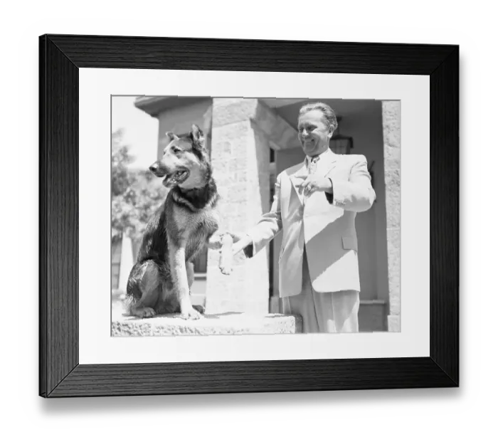 Framed Print : Josip Broz Tito Playing with His Dog Framed Print : Josip Broz Tito Playing with His Dog