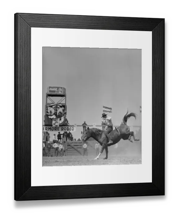 Framed Print : Cowboy Riding Bucking Horse Framed Print : Cowboy Riding Bucking Horse