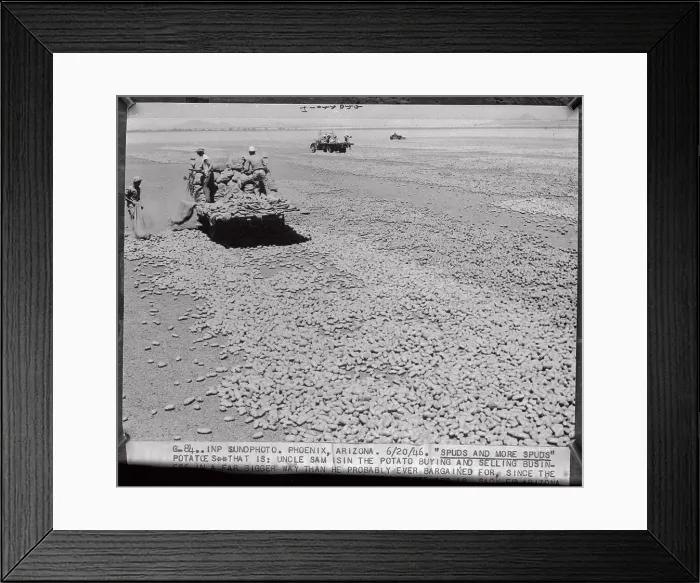 Framed Print : Men Working in Potato Field Framed Print : Men Working in Potato Field
