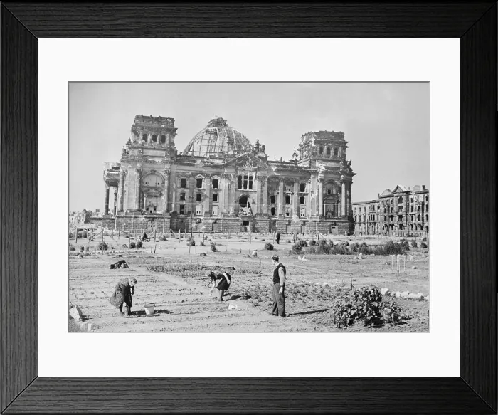 Framed Print : People Planting Potatoes in Field Framed Print : People Planting Potatoes in Field