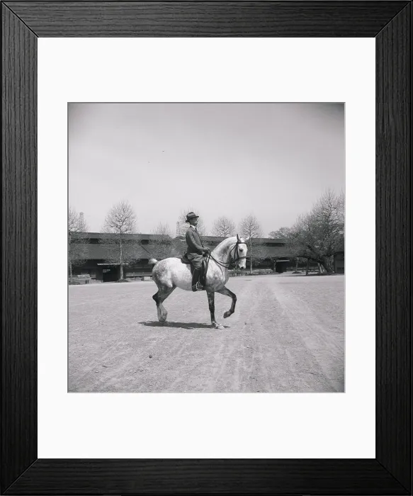 Framed Print : Prince Takahito on His Horse Framed Print : Prince Takahito on His Horse