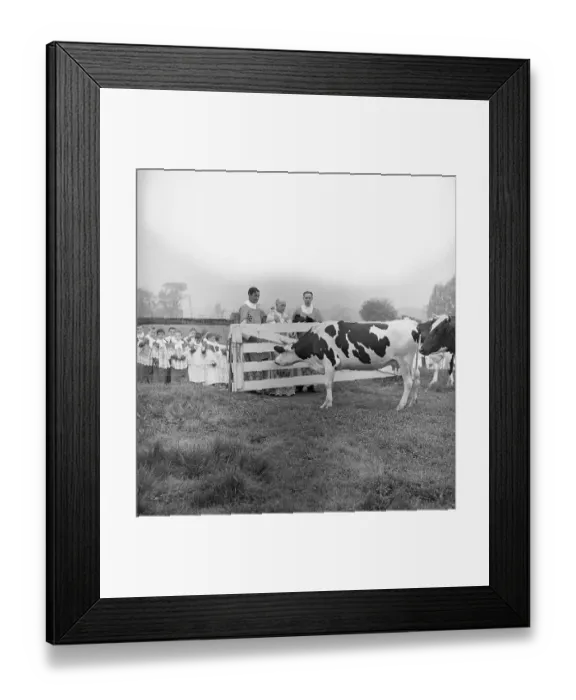 Framed Print : Priests with Children, Blessing Cows Framed Print : Priests with Children, Blessing Cows