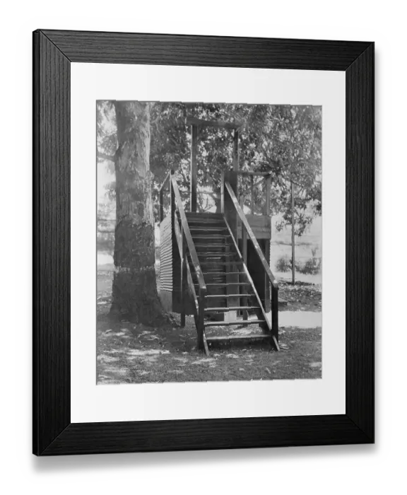 Framed Print : Gallows Steps Underneath Tree Framed Print : Gallows Steps Underneath Tree