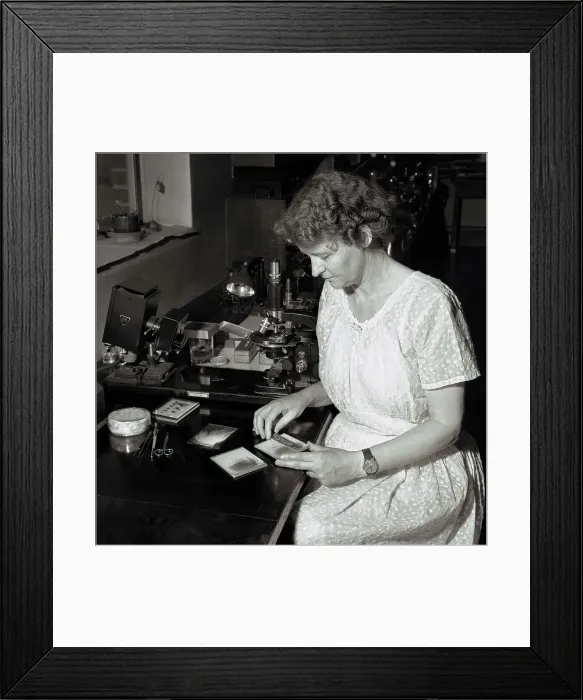 Framed Print : Thora Hardy Studying Fur Samples Framed Print : Thora Hardy Studying Fur Samples