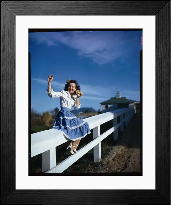 Framed Print : Catherine McLeod Sitting on a Fence Framed Print : Catherine McLeod Sitting on a Fence