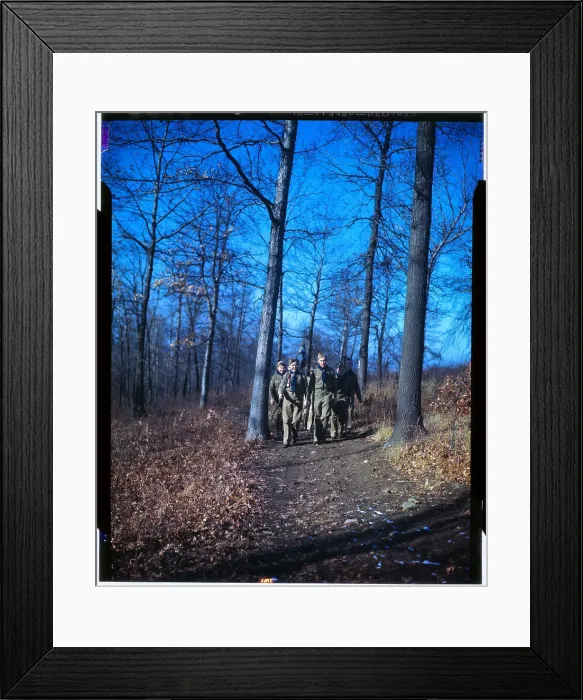 Framed Print : Scouts Walking in Wooded Area Framed Print : Scouts Walking in Wooded Area