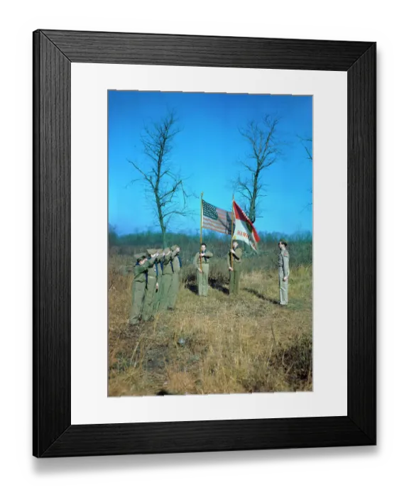 Framed Print : Boy Scouts Saluting During Ceremony Framed Print : Boy Scouts Saluting During Ceremony