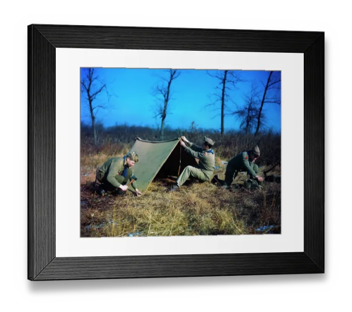 Framed Print : Older Scouts Putting up Tent Framed Print : Older Scouts Putting up Tent