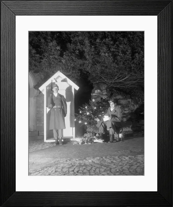 Framed Print : Sentries at Sentry Box with Christmas Tree Framed Print : Sentries at Sentry Box with Christmas Tree
