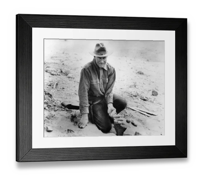 Framed Print : Roy Chapman Andrews Holds Dinosaur Eggs Framed Print : Roy Chapman Andrews Holds Dinosaur Eggs