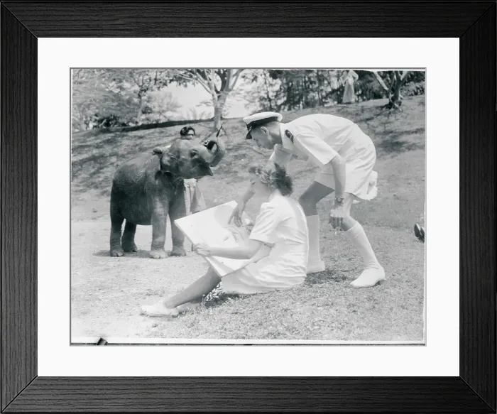Framed Print : Lieutenant Critisizing Artwork