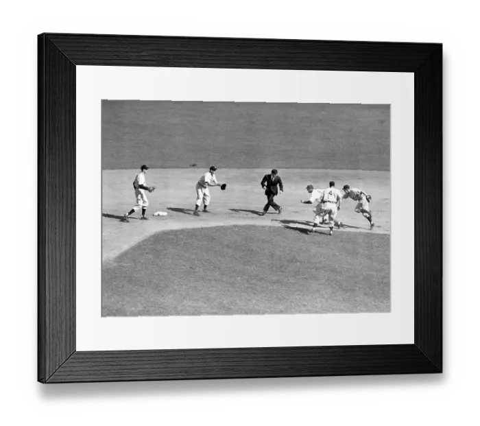 Framed Print : Catching a Cub on the Run Framed Print : Catching a Cub on the Run
