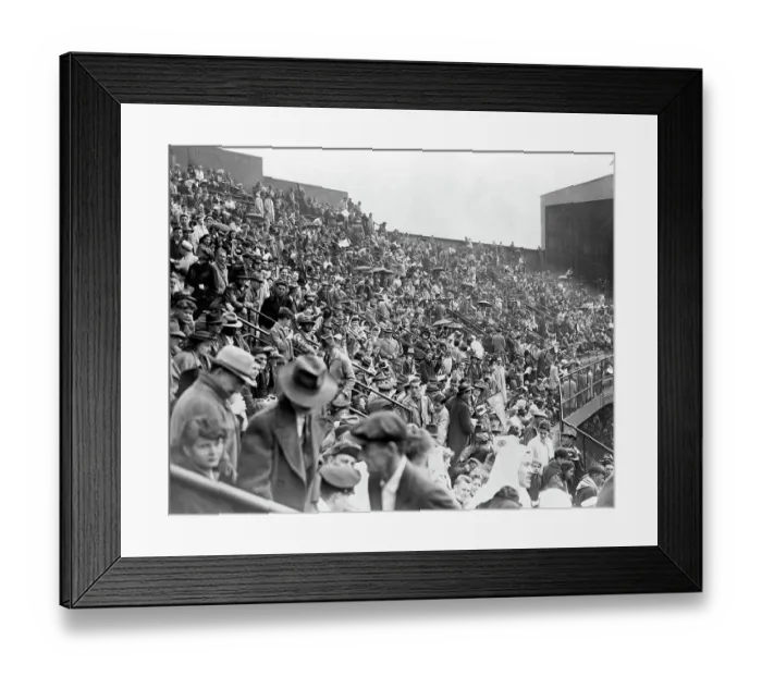 Framed Print : World Series Fans Undampened by Rain Framed Print : World Series Fans Undampened by Rain