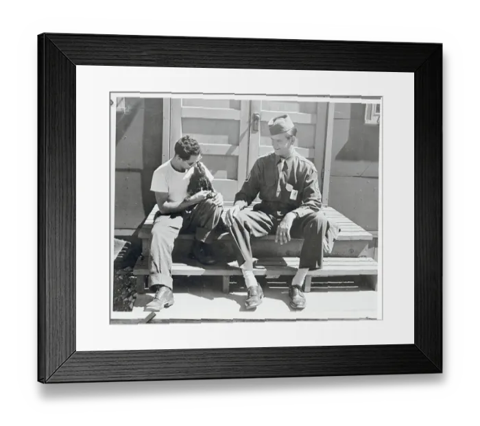 Framed Print : Cocker Spaniel Kissing His Owner Framed Print : Cocker Spaniel Kissing His Owner