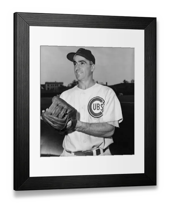 Framed Print : Leonard Merullo of the Chicago Cubs Framed Print : Leonard Merullo of the Chicago Cubs