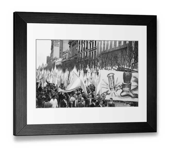 Framed Print : Protesters Carry Anti-Government Poster Framed Print : Protesters Carry Anti-Government Poster