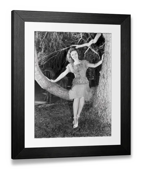 Framed Print : Shirley Temple Posing on Tree Branch Framed Print : Shirley Temple Posing on Tree Branch