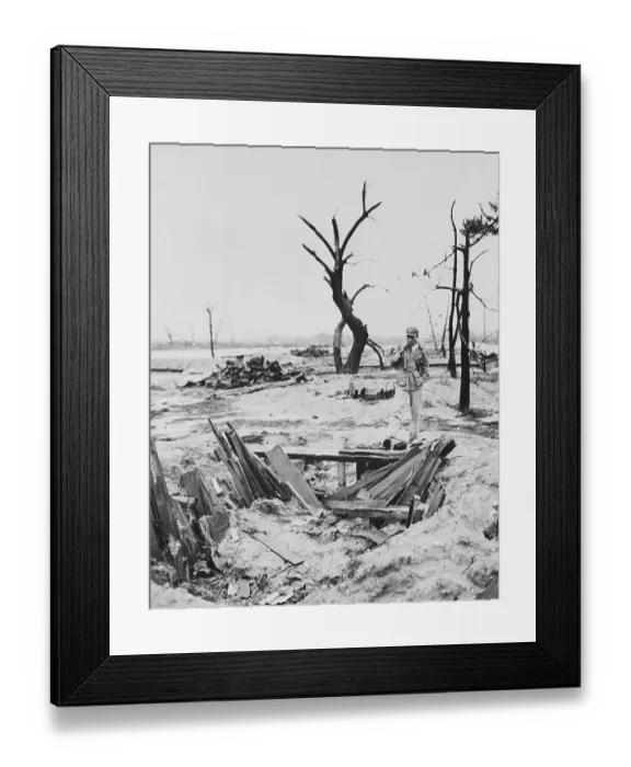 Framed Print : Hiroshima Ruins Site Framed Print : Hiroshima Ruins Site