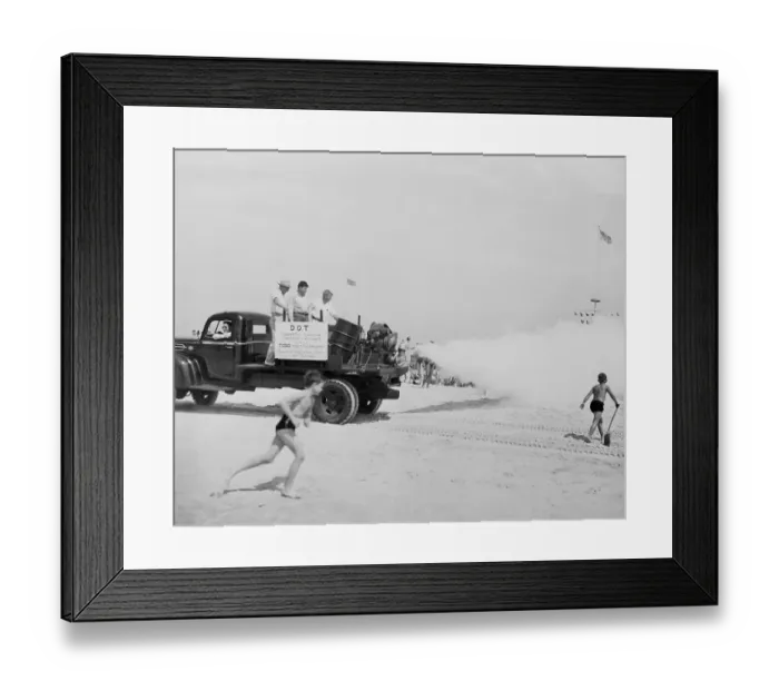 Framed Print : Insecticidal Fog Being Sprayed at Beach Framed Print : Insecticidal Fog Being Sprayed at Beach