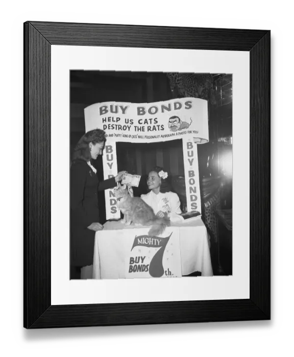 Framed Print : Cat Puffy Signing Autographs Framed Print : Cat Puffy Signing Autographs