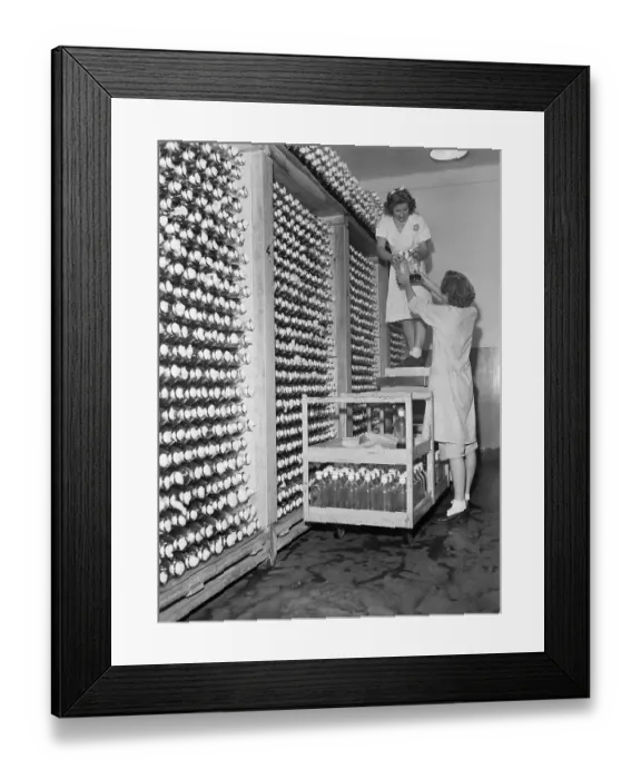 Framed Print : Stacks of Culture Flasks for Penicillin