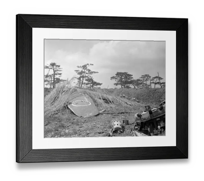 Framed Print : Mock Japanese Military Airplane Partially Hidden Under Brush Framed Print : Mock Japanese Military Airplane Partially Hidden Under Brush