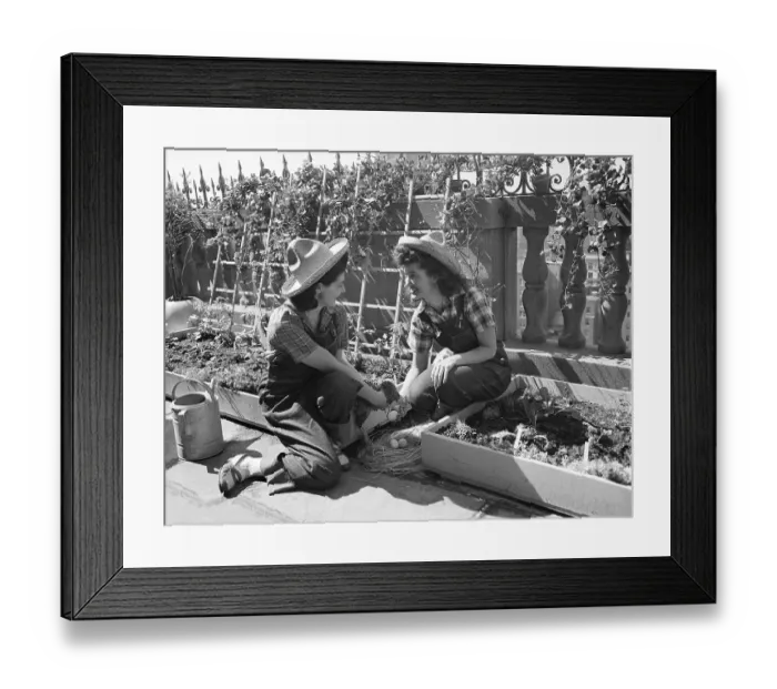 Framed Print : Women Working In Victory Garden Framed Print : Women Working In Victory Garden