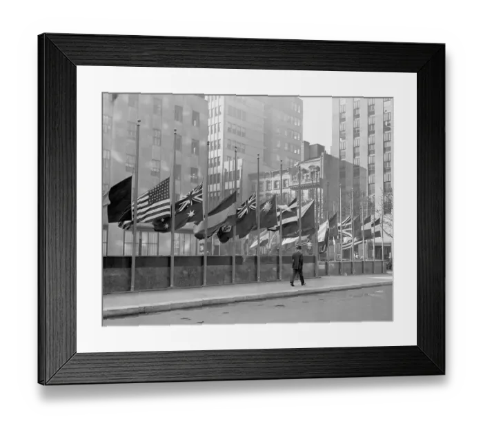 Framed Print : UN Flags at Half-Mast Framed Print : UN Flags at Half-Mast