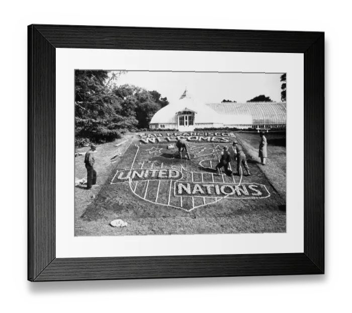 Framed Print : Floral Welcome for Peace Delegates Framed Print : Floral Welcome for Peace Delegates