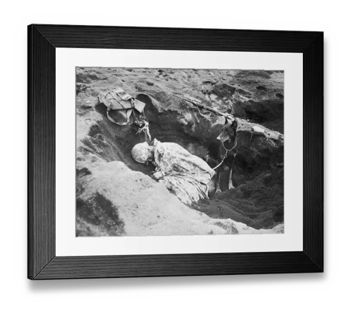 Framed Print : Doberman Watching over Sleeping American Marine
