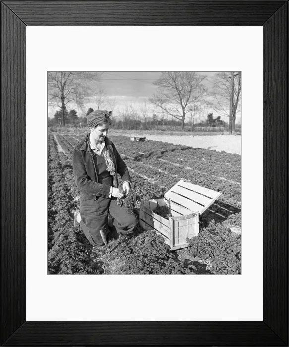 Framed Print : A Woman's Responsibilities on the Farm Framed Print : A Woman's Responsibilities on the Farm