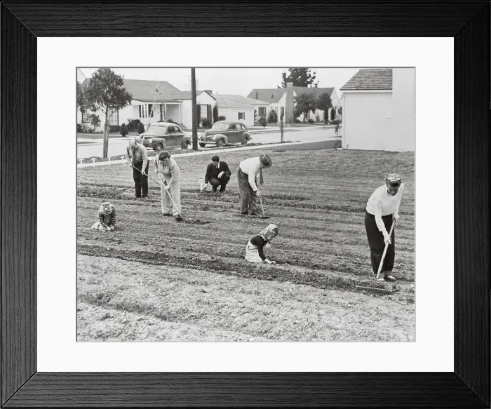 Framed Print : Family Working Outside in Garden Framed Print : Family Working Outside in Garden