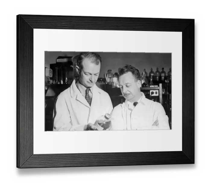 Framed Print : Dr. Linus Pauling and Dr. Dan Campbell Looking at Their New Discovery Framed Print : Dr. Linus Pauling and Dr. Dan Campbell Looking at Their New Discovery