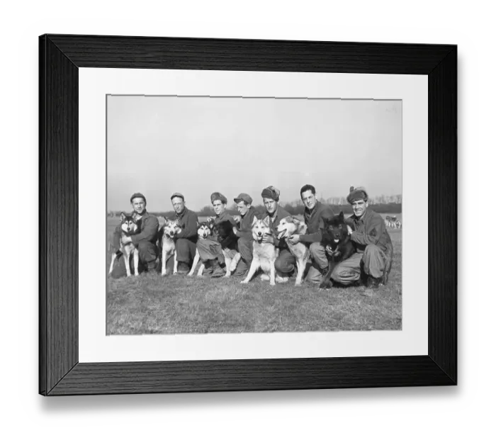 Framed Print : Military Personnel With Rescue Sled Dogs Framed Print : Military Personnel With Rescue Sled Dogs