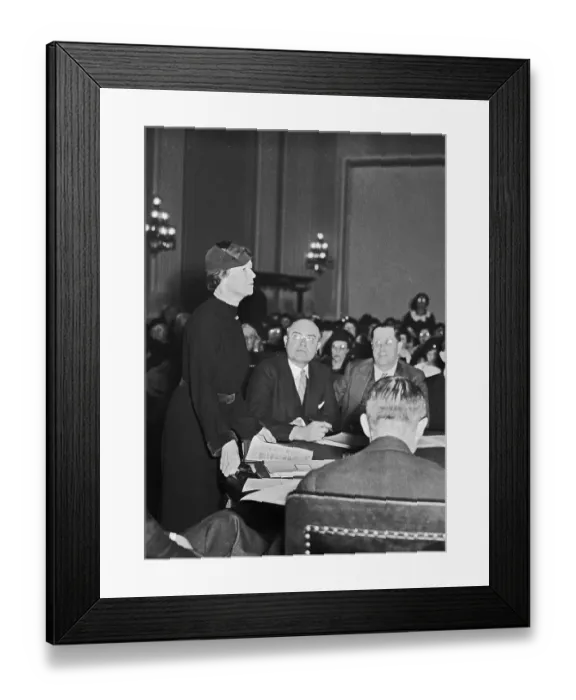 Framed Print : Mrs. Thomas Hepburn Speaking to a House Committee Framed Print : Mrs. Thomas Hepburn Speaking to a House Committee