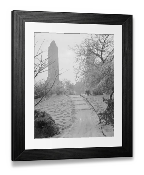 Framed Print : Central Park Views