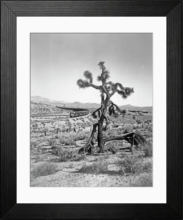 Framed Print : Santa Fe Freight Train, Mojave Desert Framed Print : Santa Fe Freight Train, Mojave Desert