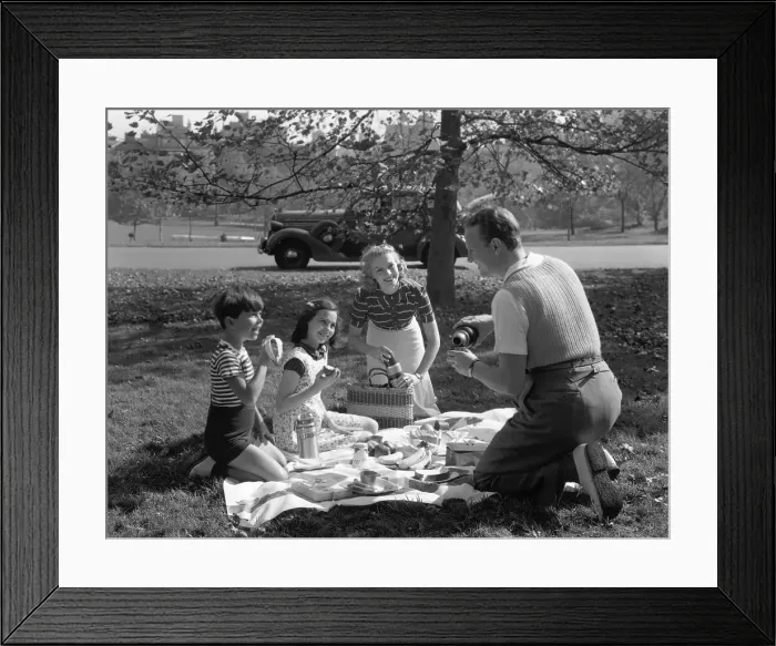 Framed Print : Family Picnic Framed Print : Family Picnic