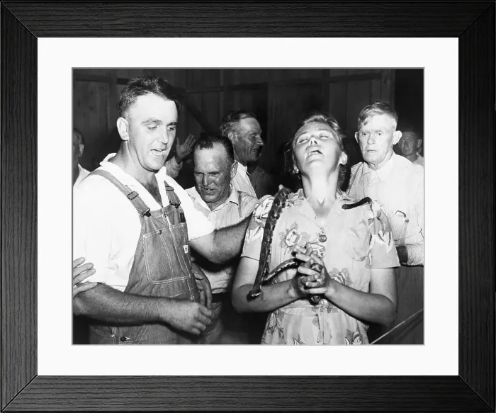 Framed Print : Snake Handler Draping Rattlesnake on Congregation Member Framed Print : Snake Handler Draping Rattlesnake on Congregation Member