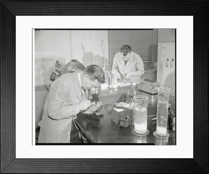 Framed Print : Blood Will Tell Framed Print : Blood Will Tell