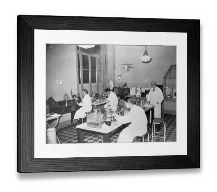 Framed Print : Scientists Studying in Laboratory Framed Print : Scientists Studying in Laboratory