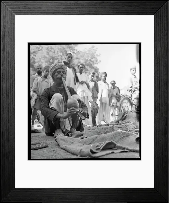 Framed Print : Snake Charmer Charming His Cobra Framed Print : Snake Charmer Charming His Cobra